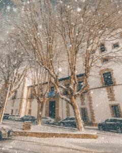 Campamento de Navidad